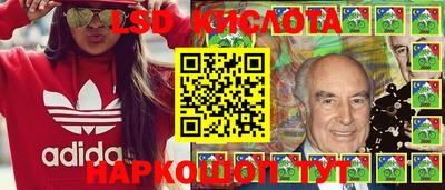 амф Заволжье