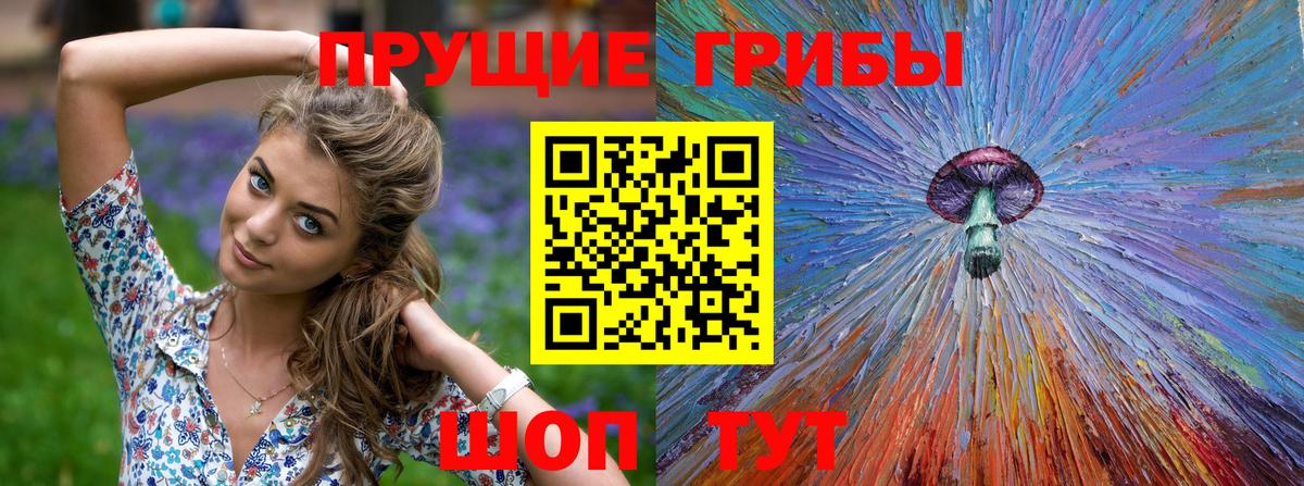 Галлюциногенные грибы Psilocybine cubensis  Вход с VPN  Омск 